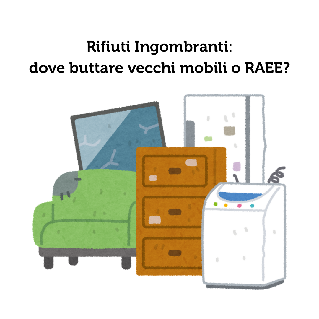 RACCOLTA INGOMBRANTI E RAEE